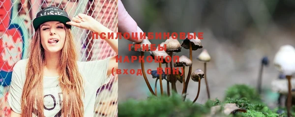 бошки Абаза