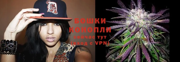 шишки Абдулино