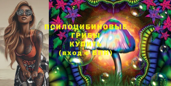 бошки Абаза