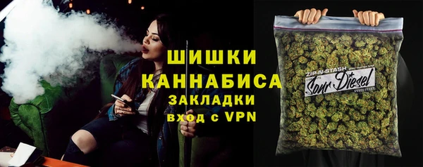 твердый Пересвет