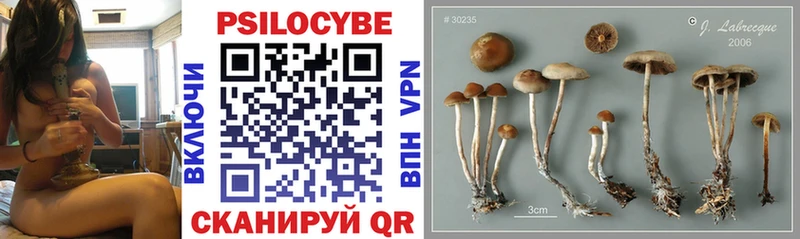 Псилоцибиновые грибы мухоморы  Темников 