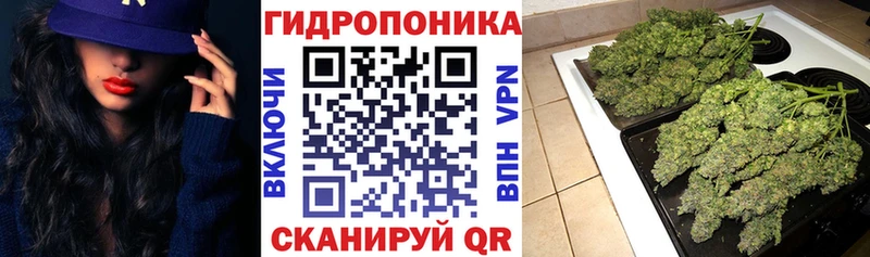 ссылка на мегу зеркало  купить наркоту  Темников  Канабис Amnesia 